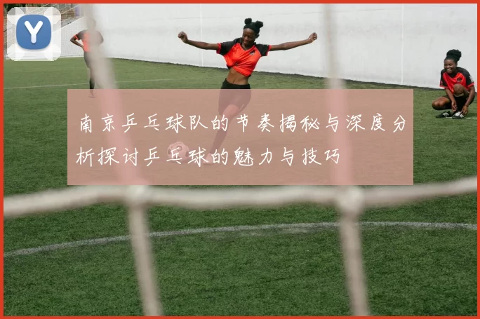 南京乒乓球队的节奏揭秘与深度分析探讨乒乓球的魅力与技巧