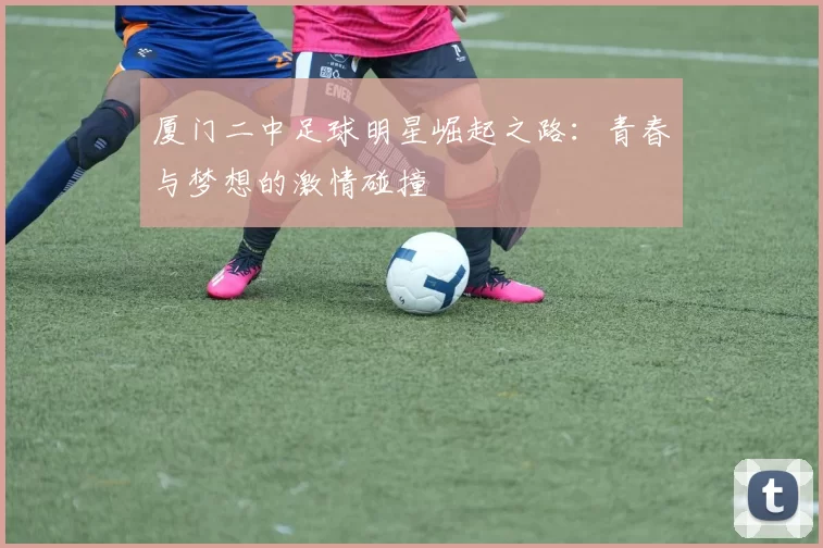 厦门二中足球明星崛起之路：青春与梦想的激情碰撞