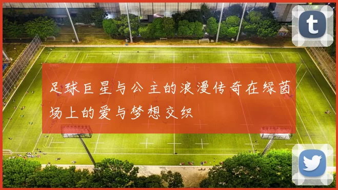 足球巨星与公主的浪漫传奇在绿茵场上的爱与梦想交织