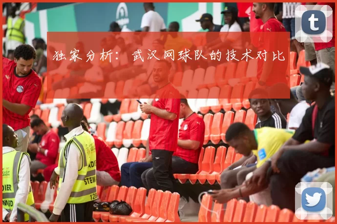 独家分析：武汉网球队的技术对比
