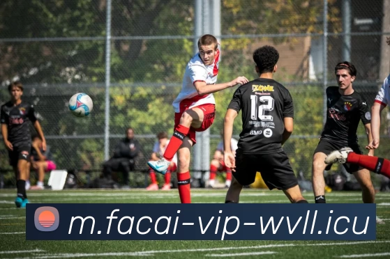 开云体育APP 封面图